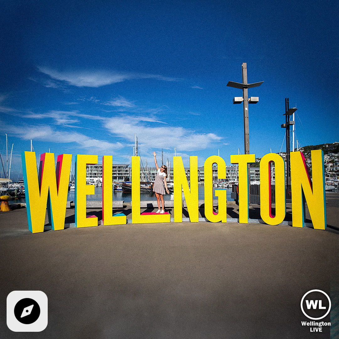 The Wellington Starter Pack